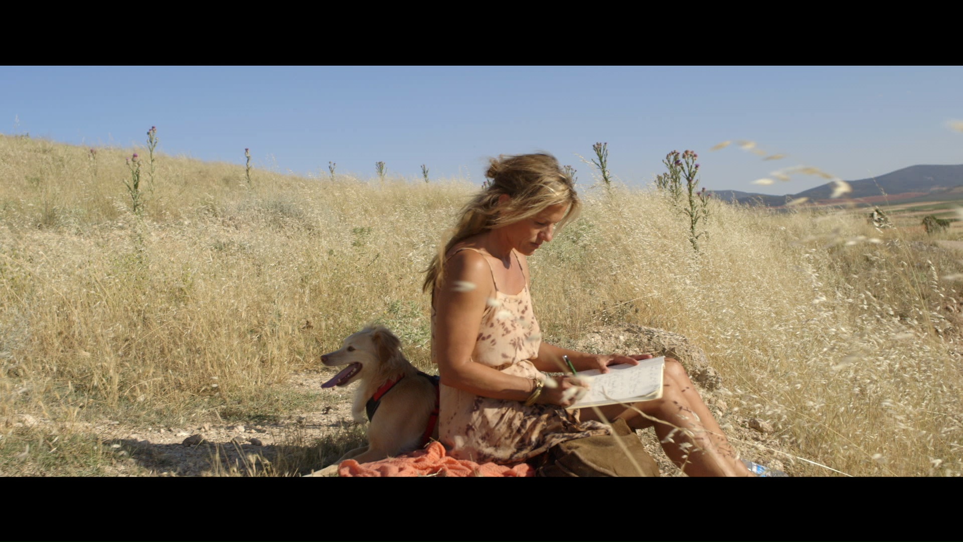 CULPA - Still 1