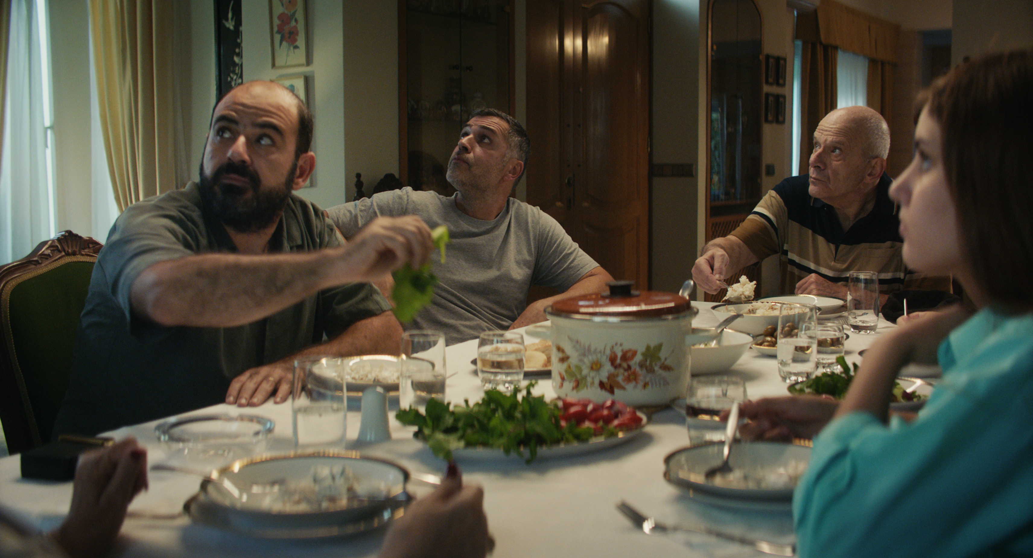 Mediterranean Fever - Still 1