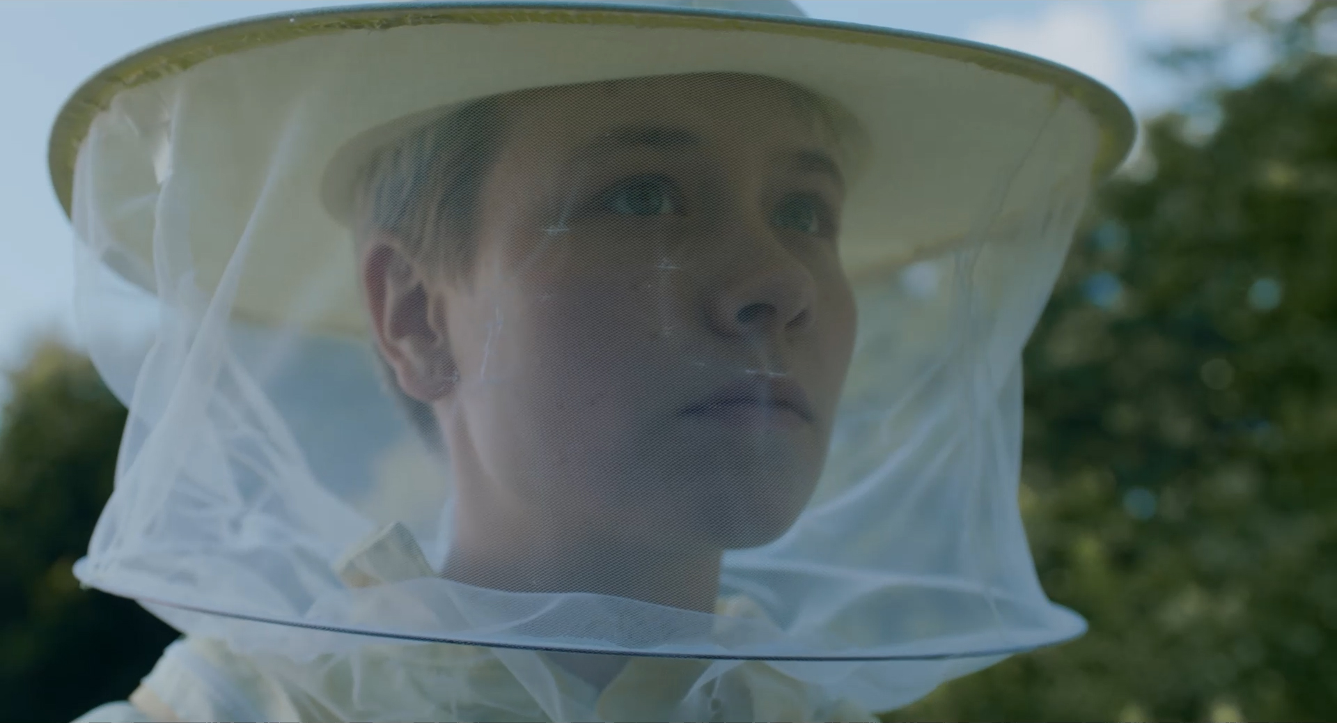 Schwarmtiere - Still 1