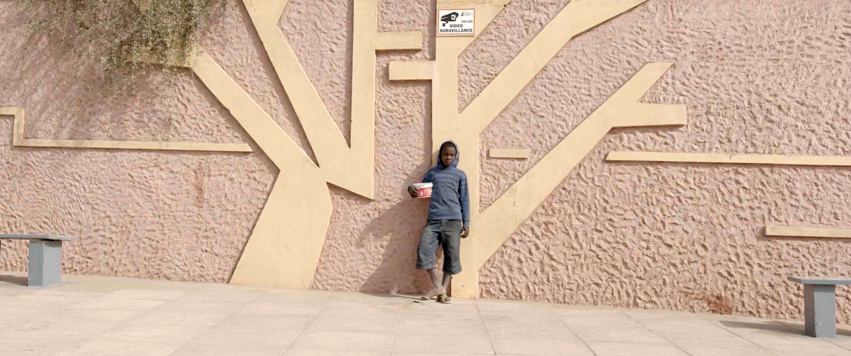 L'ulivo e il baobab - Still 1