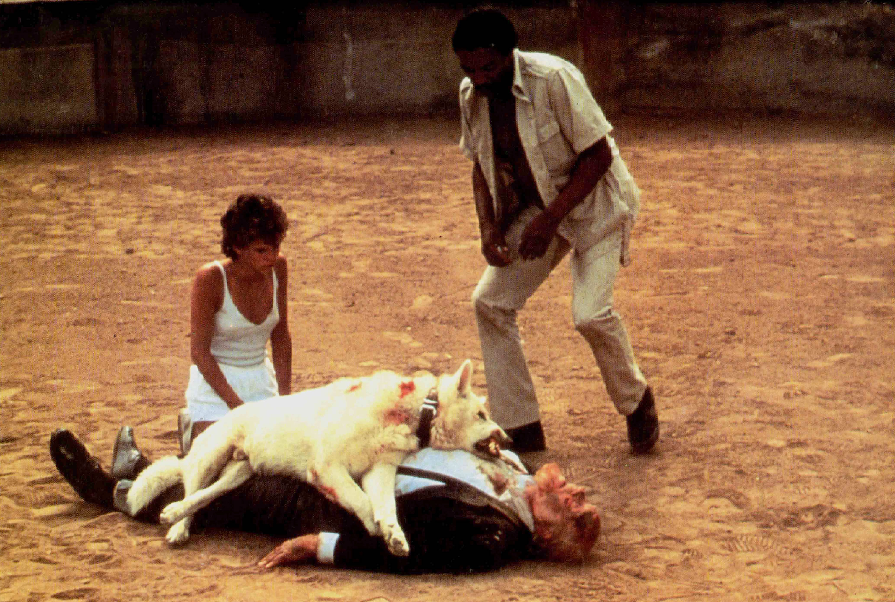 White Dog - Still 3