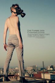 Die Farbe des Chamäleons - Poster 1