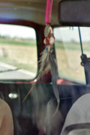 Ordinary Creatures - Still 1