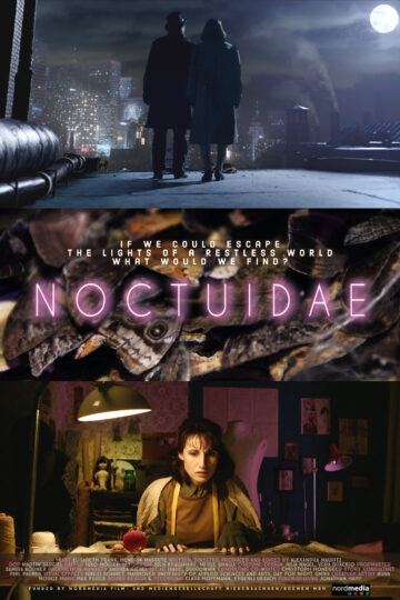 Noctuidae - Poster 1