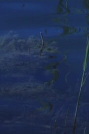 Zumindest bin ich draußen gewesen - Poster 1