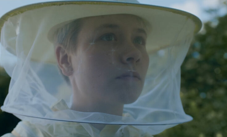 Schwarmtiere - Still 1