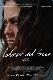 Volver al Sur - Poster 1