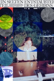 Ein selten entstaubter Teil des Gehirns - Poster 1