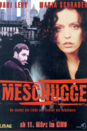 Meschugge - Poster 1