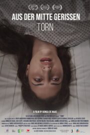Aus der Mitte gerissen - Poster 1