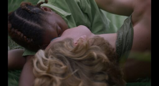 Damaged Lemons - Still 2