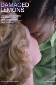 Damaged Lemons - Poster 1