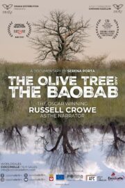 L'ulivo e il baobab - Poster 1