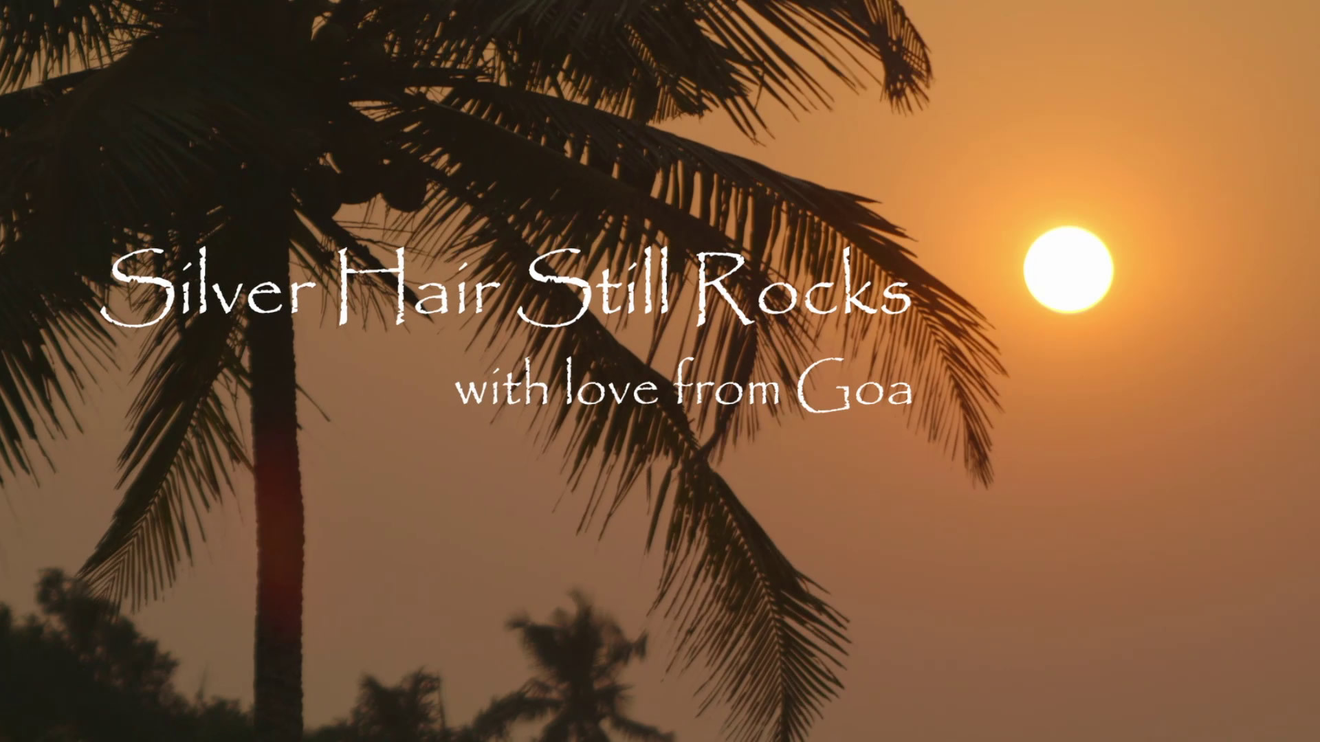 SILVER HAIR STILL ROCKS