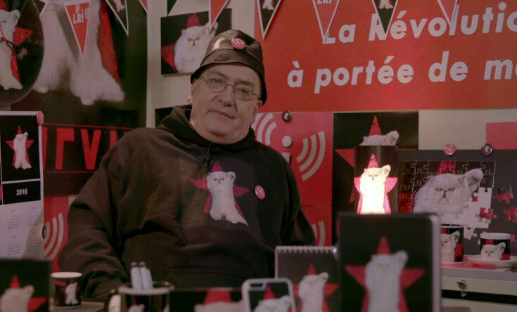 DIE AFFAIRE MARVIN von Lewis Eizykman