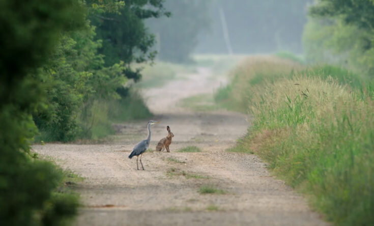 AUF DER JAGD - WEM GEHÖRT DIE NATUR?