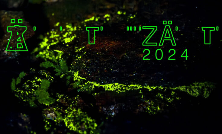 ANTHROPOZÄNTA 2024